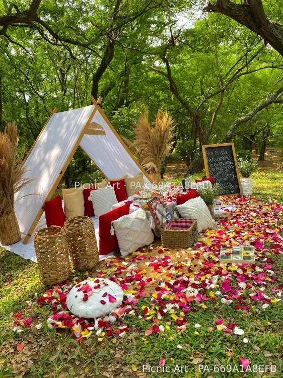 Picnic Estándar - foto 45