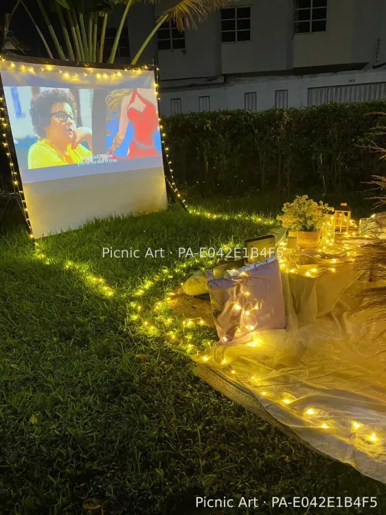 Picnic Cinema