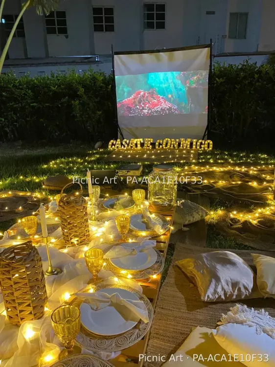 Picnic Cinema