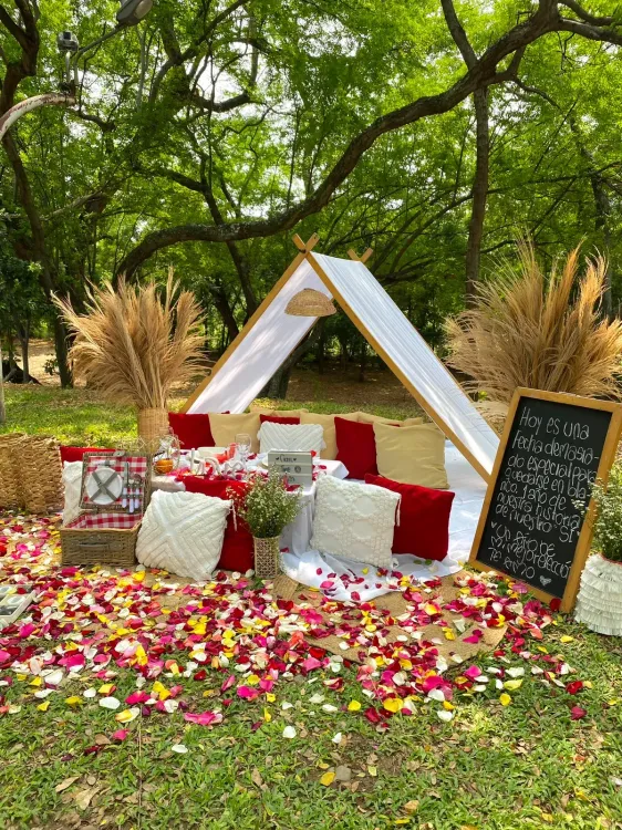 Picnic Estándar - foto 5