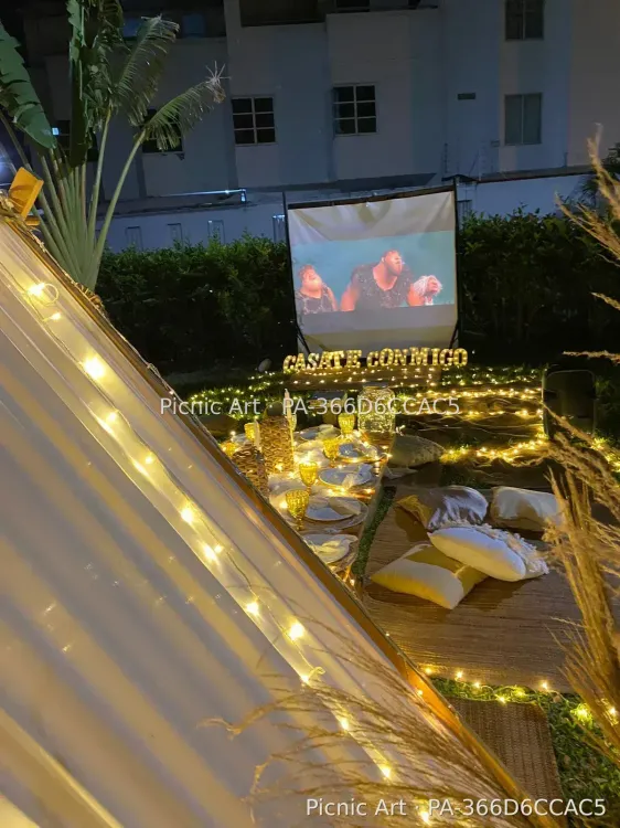 Picnic Cinema - foto 14