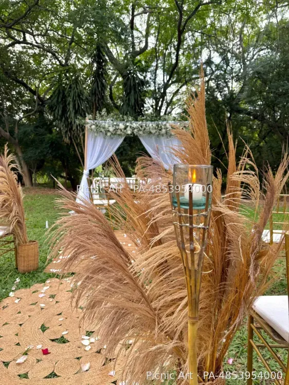 Paquete de Sillas - foto 12
