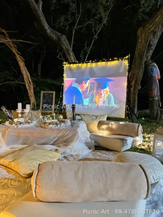 Picnic Cinema
