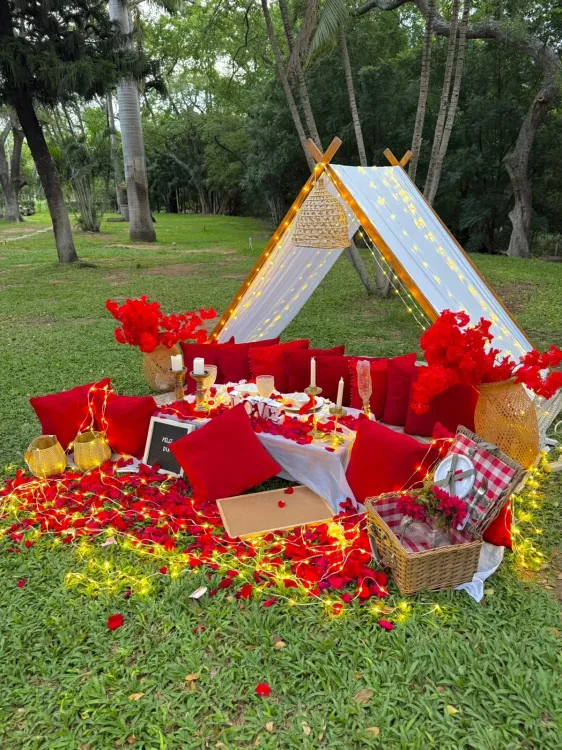 Picnic Estándar - foto 7