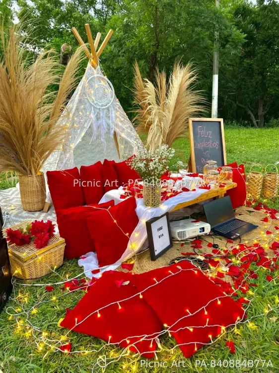 Picnic Cinema - foto 20