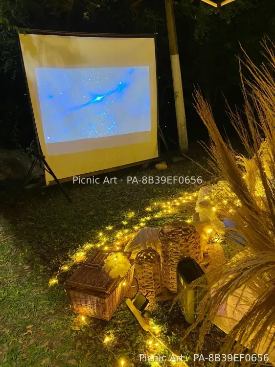 Picnic Cinema