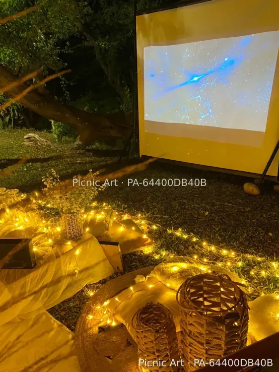 Picnic Cinema