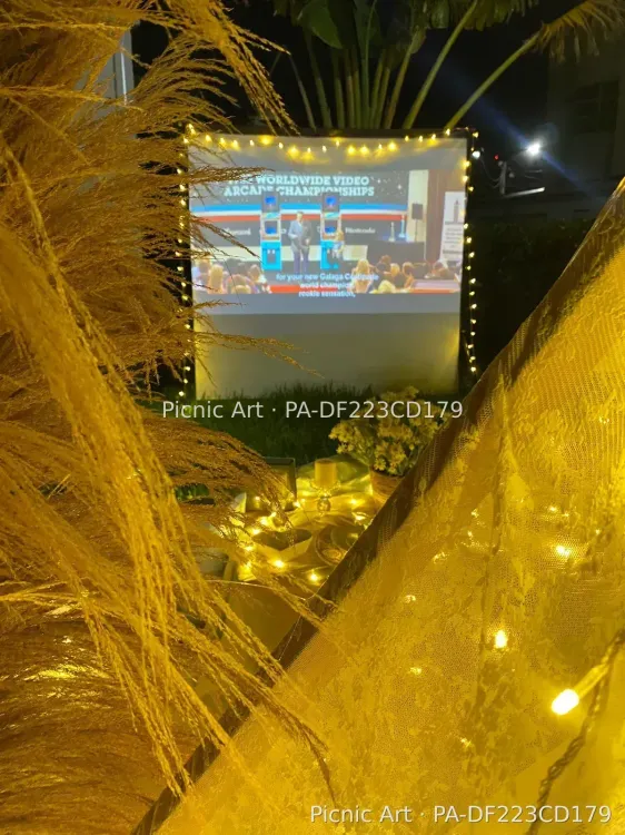 Picnic Cinema