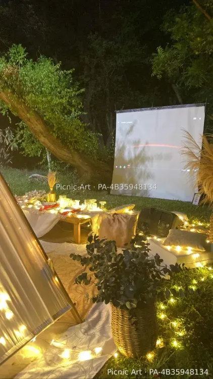 Picnic Cinema
