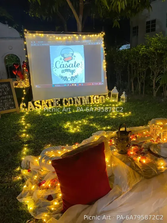 Picnic Cinema - foto 21