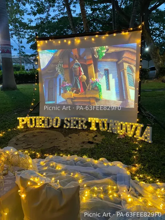 Picnic Cinema