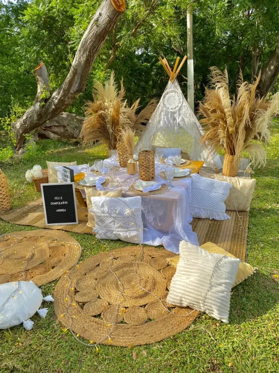 Picnic Estándar - foto 8