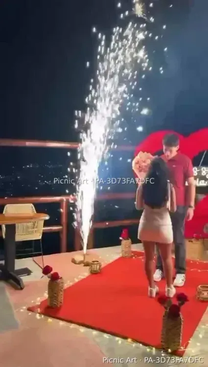 Corazón de Rosas - foto 21