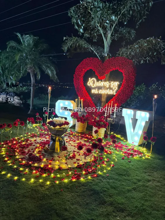Corazón de Rosas - foto 16
