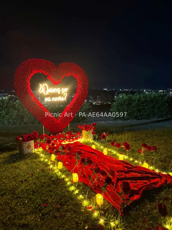 Corazón de Rosas - foto 9